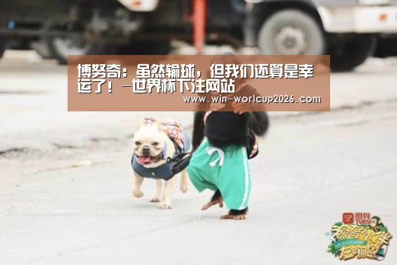 博努奇:虽然输球,但我们还算是幸运了!-世界杯下注网站(图1) 世界杯竞猜平台